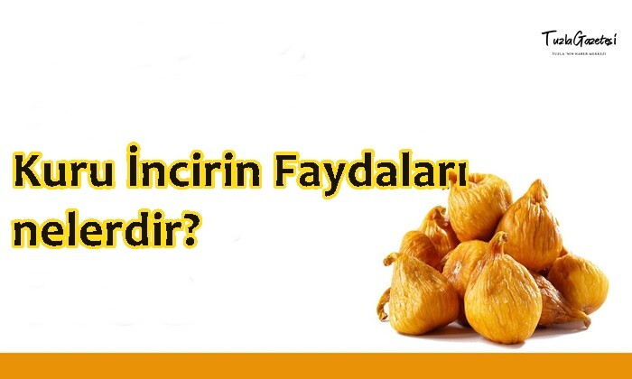 Kuru İncirin Faydaları