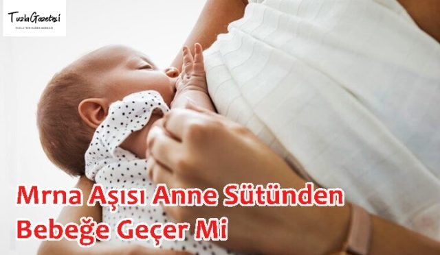 Mrna Aşısı Anne Sütünden Bebeğe Geçer Mi turcovac