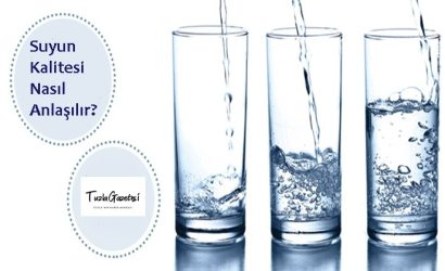 Suyun Kalitesi Nasıl Anlaşılır