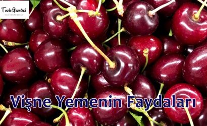 Vişne Yemenin Faydaları