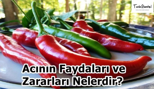 Acının Faydaları ve Zararları Nelerdir