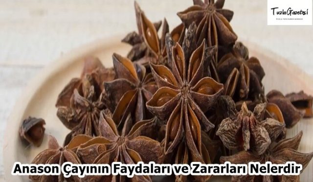 Anason Çayının Faydaları ve Zararları Nelerdir