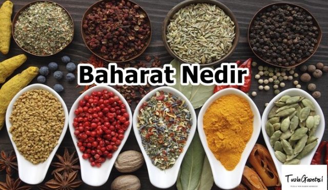 Baharat Nedir