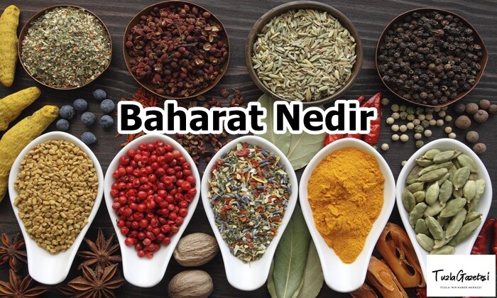 Baharat Nedir?