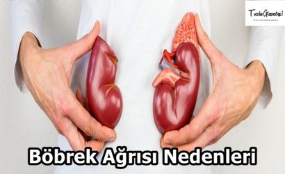 Böbrek Ağrısı Nedenleri