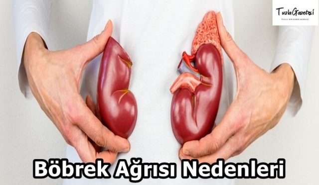 Böbrek Ağrısı Nedenleri