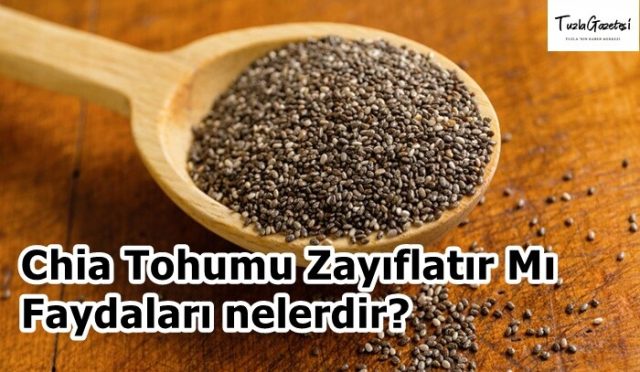 Chia Tohumu Zayıflatır Mı Faydaları nelerdir?