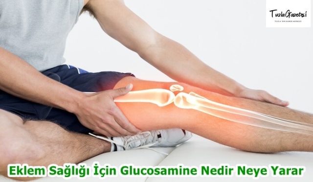 Eklem Sağlığı İçin Glucosamine Nedir Neye Yarar