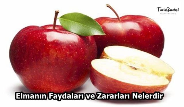 Elmanın Faydaları ve Zararları Nelerdir