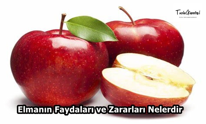 Elmanın Faydaları ve Zararları Nelerdir