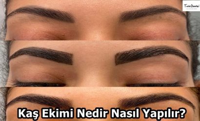 Kaş Ekimi Nedir Nasıl Yapılır gebze