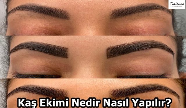 Kaş Ekimi Nedir Nasıl Yapılır gebze