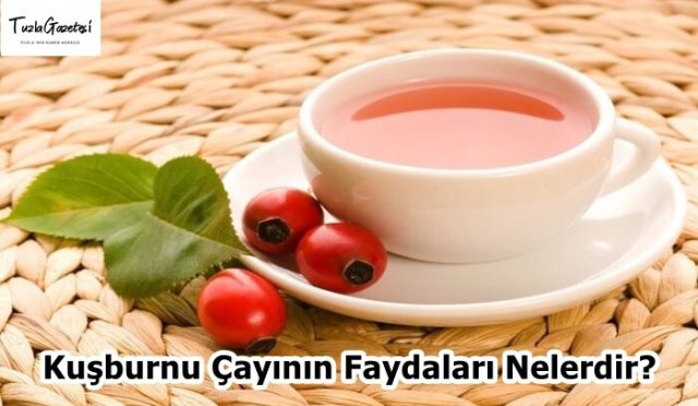 Kuşburnu Çayının Faydaları Nelerdir