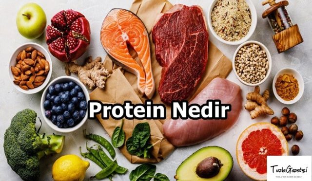 Protein Nedir zararları