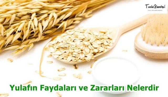 Yulafın Faydaları ve Zararları Nelerdir