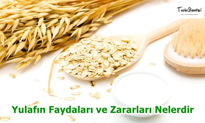 Yulafın Faydaları ve Zararları Nelerdir