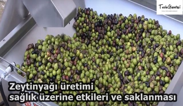 Zeytinyağı üretimi sağlık üzerine etkileri ve saklanması