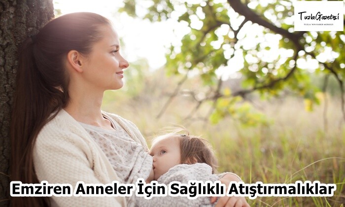 Emziren Anneler İçin Sağlıklı Atıştırmalıklar