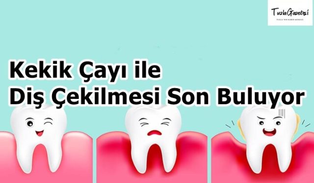 Kekik Çayı ile Diş Çekilmesi Son Buluyor