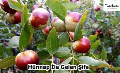 Hünnap İle Gelen Şifa