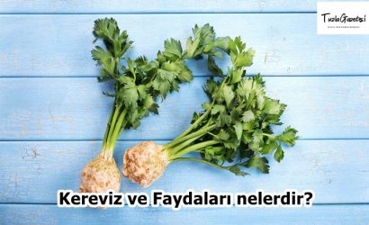 Kereviz ve Faydaları