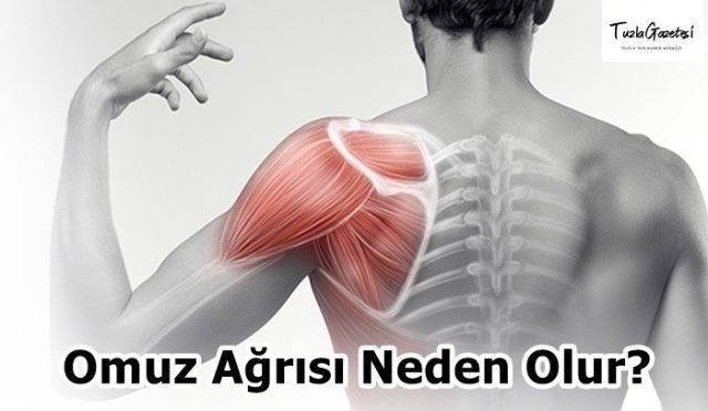 Omuz Ağrısı Neden Olur