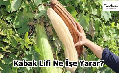 Kabak Lifi Ne İşe Yarar