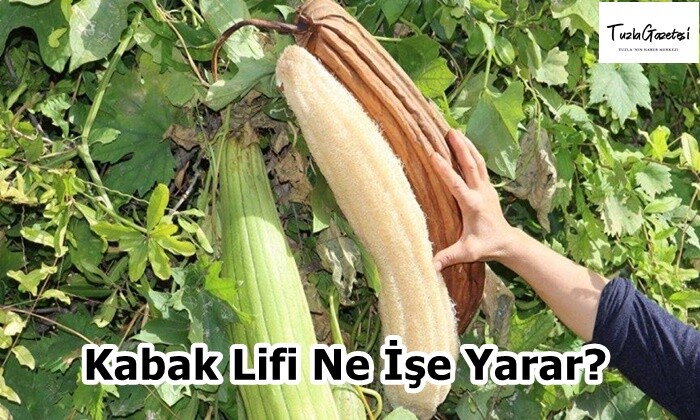 Kabak Lifi Ne İşe Yarar?