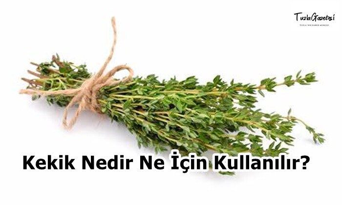 Kekik Nedir Ne İçin Kullanılır