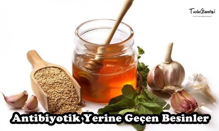 Antibiyotik Yerine Geçen Besinler