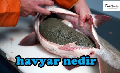 havyar faydaları nedir