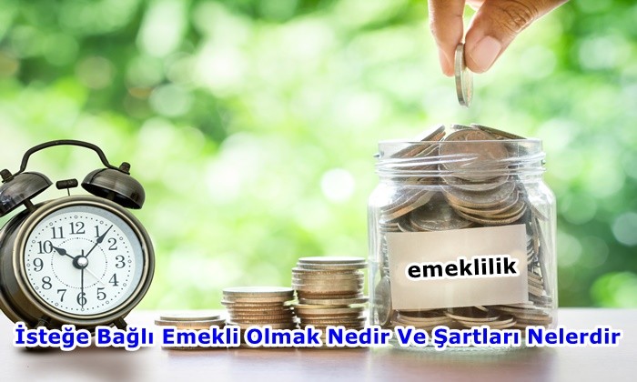 İsteğe Bağlı Emekli Olmak Nedir Ve Şartları Nelerdir?