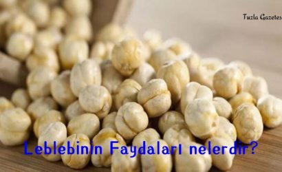 Leblebinin Faydaları nelerdir