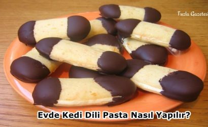 Evde Kedi Dili Pasta Nasıl Yapılır en kolay