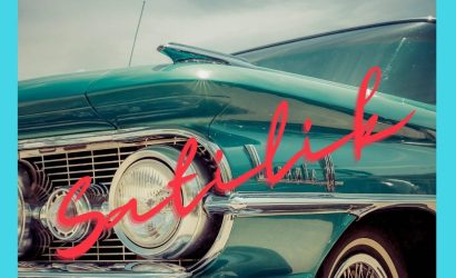 Tuzla Oto Galerici en iyi