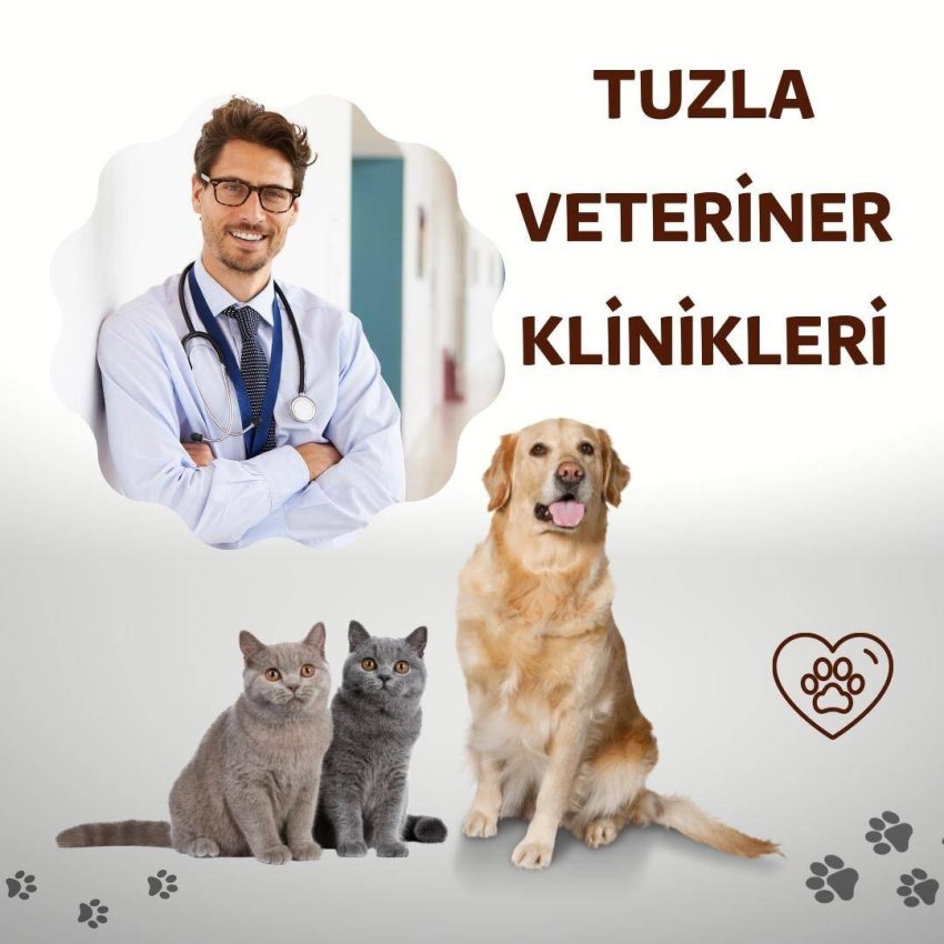 Tuzla Veteriner Klinikleri