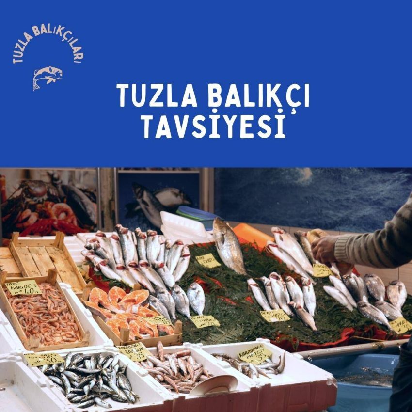 Tuzla Balıkçı