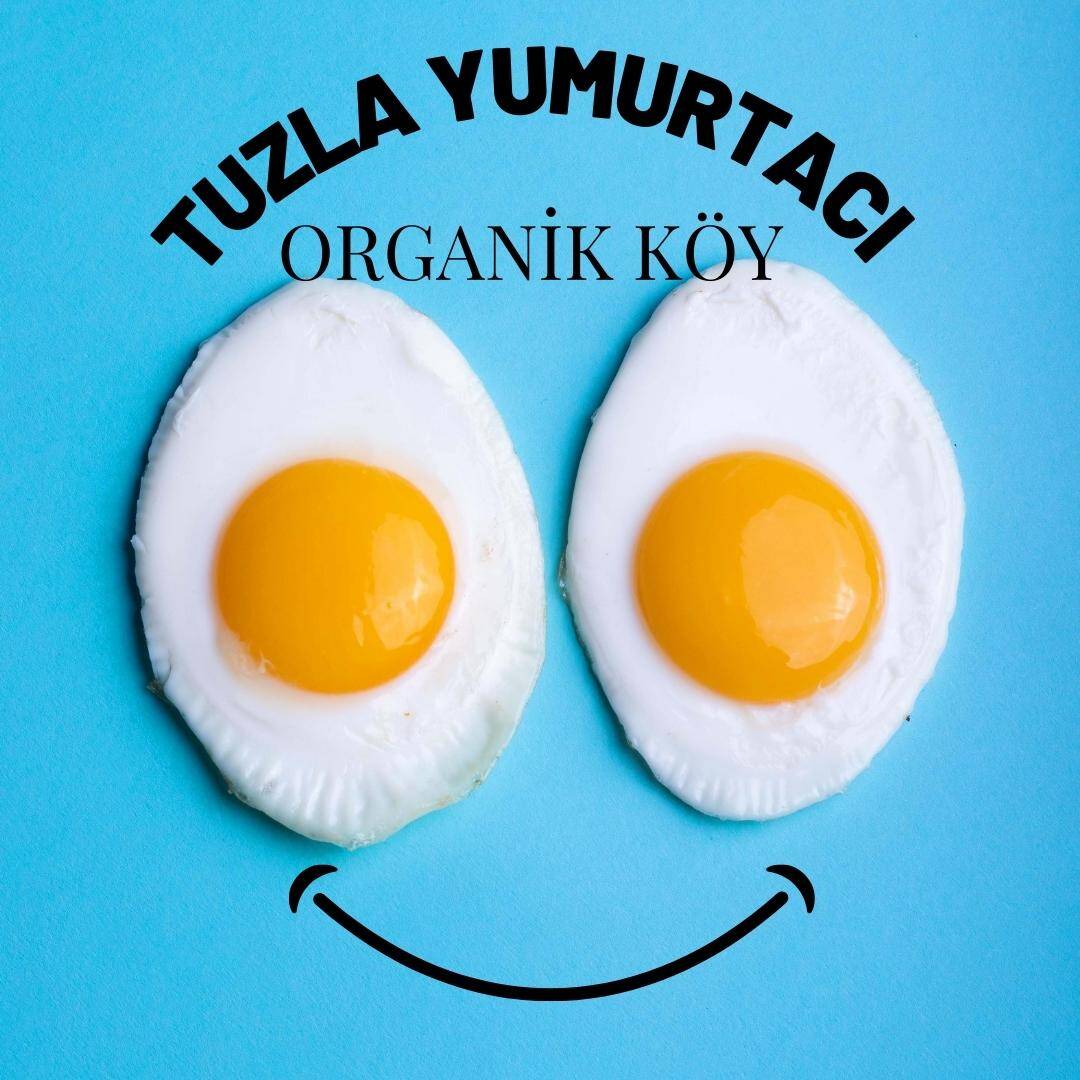 Tuzla Yumurtacı serbest gezen