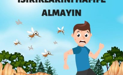 Sivrisinek ısırıklarını hafife almayın