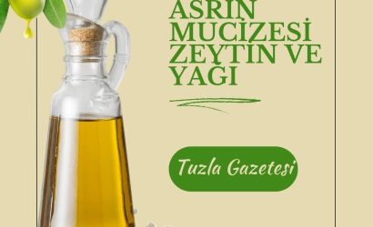 Asrın mucizesi zeytin, zeytin yaprağının faydaları nedir, Evde zeytin nasıl yapabiliriz,